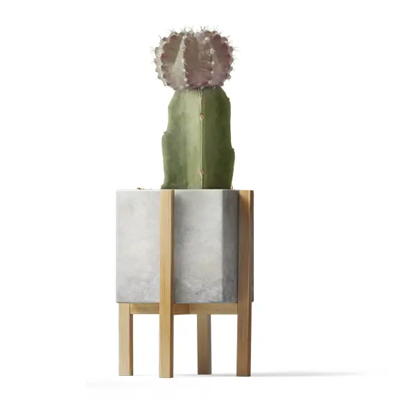 Sample Product #15 - Image 3